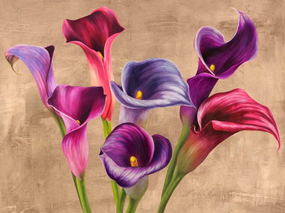Multi-colored Callas art print by Jenny Thomlinson for $57.95 CAD