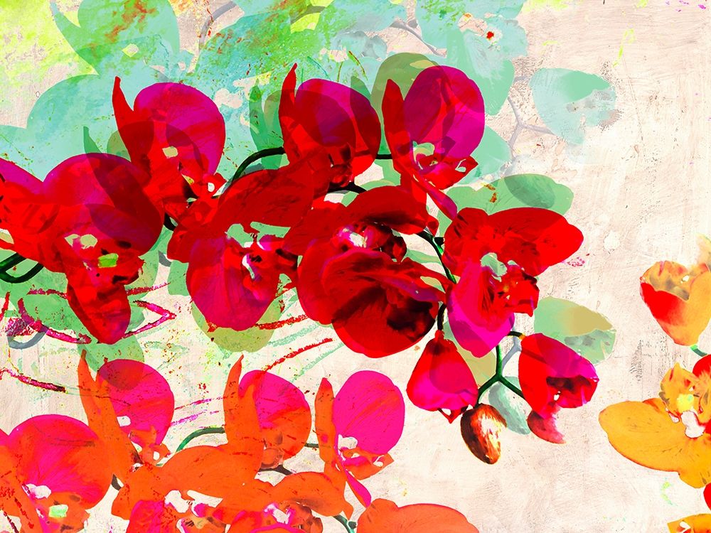 Orchidreams art print by Kelly Parr for $57.95 CAD