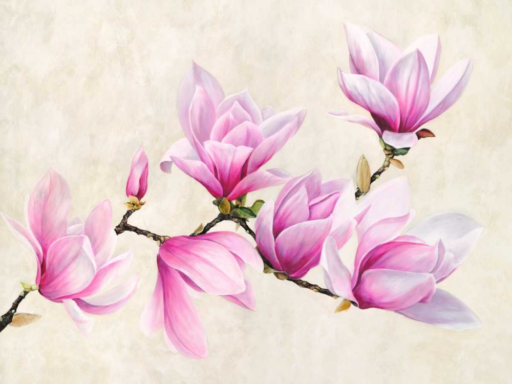 Ramo di magnolia art print by Luca Villa for $57.95 CAD