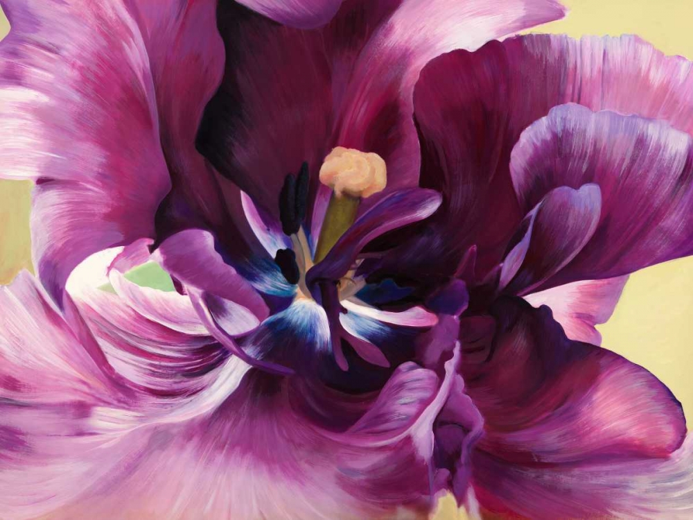 Purple tulip close-up art print by Luca Villa for $57.95 CAD