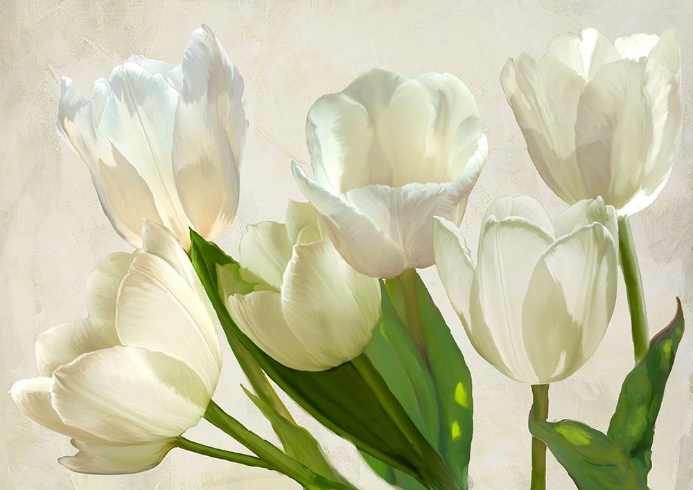 White Tulips art print by Luca Villa for $57.95 CAD