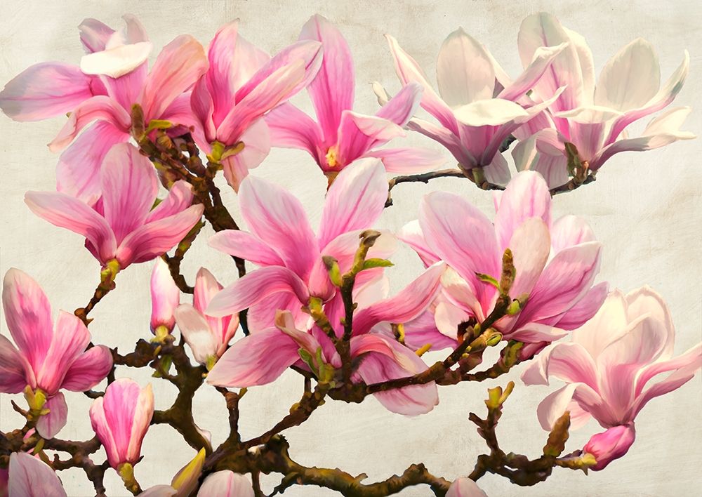 Magnolia Branch - neutral art print by Luca Villa for $57.95 CAD