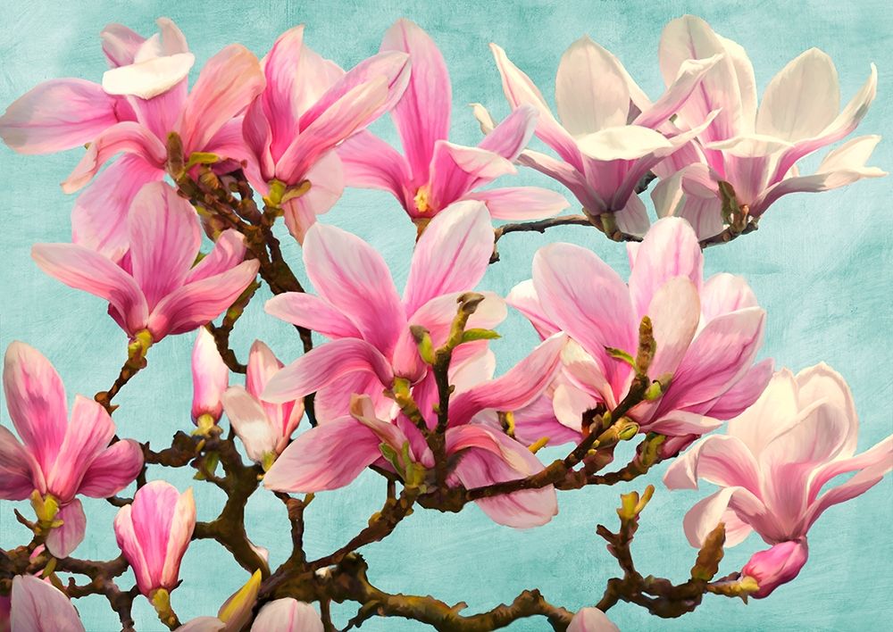 Magnolia Branch - turquoise art print by Luca Villa for $57.95 CAD
