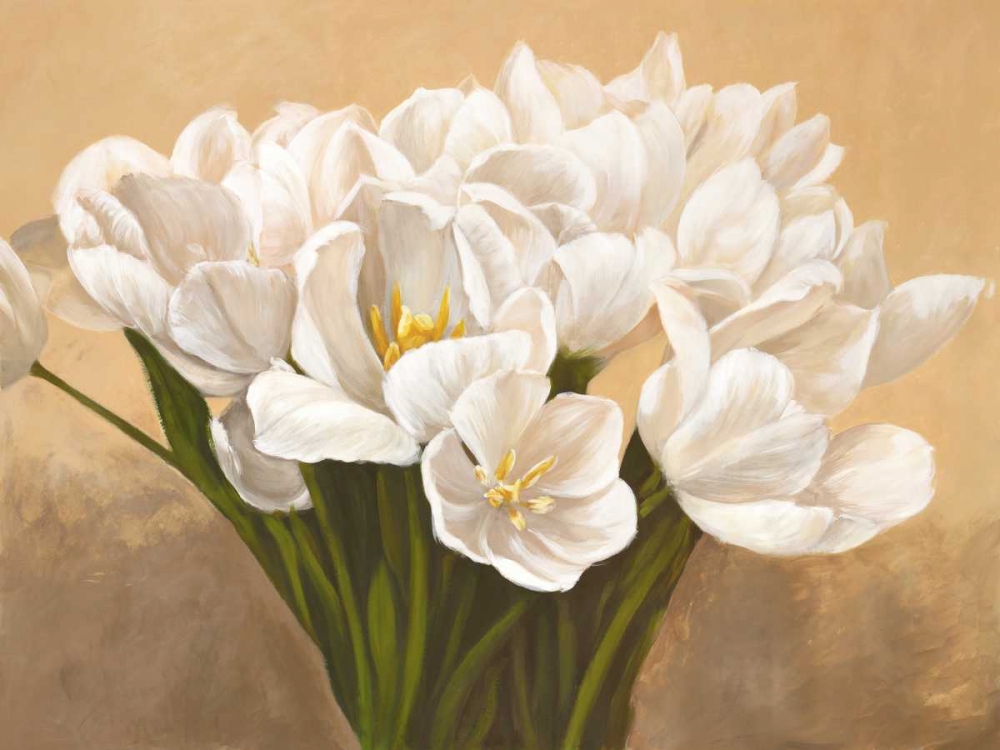 Tulipes blanches art print by Leonardo Sanna for $57.95 CAD