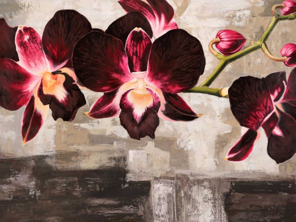 Velvet Orchids art print by Shin Mills for $57.95 CAD