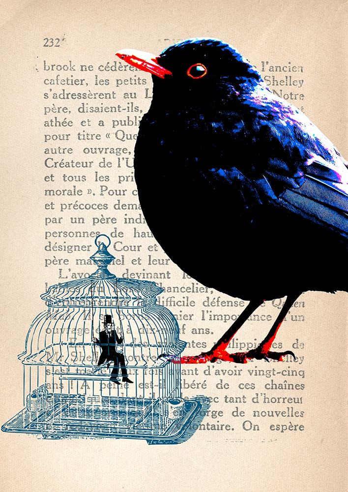 Cage a lhomme art print by Stef Lamanche for $57.95 CAD