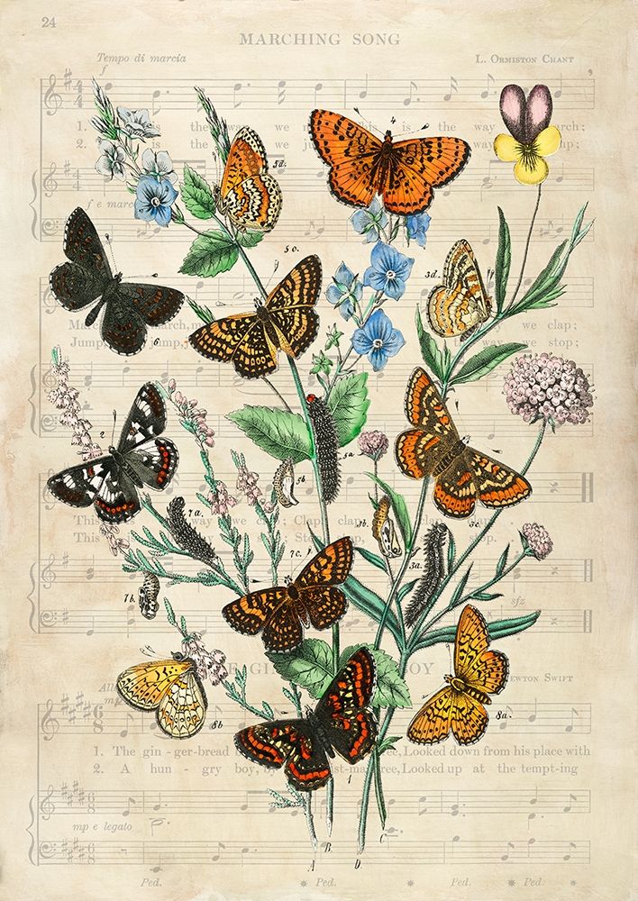 European Butterflies- After Kirby art print by Stef Lamanche for $57.95 CAD