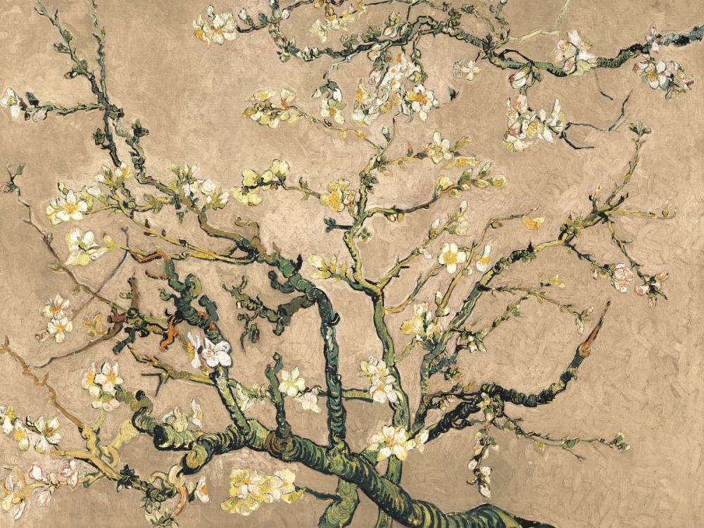 Mandorlo in fiore (beige variation) art print by Vincent Van Gogh for $57.95 CAD