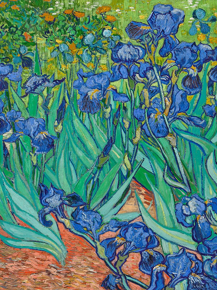 Irises (detail) art print by Vincent van Gogh for $57.95 CAD