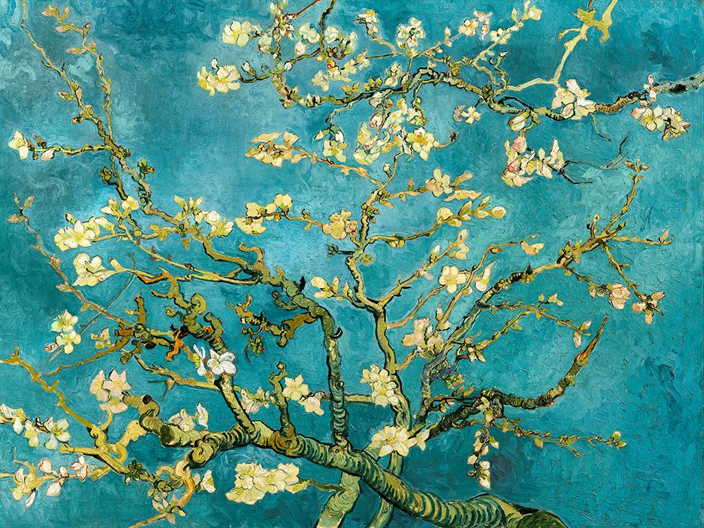 Mandorlo in fiore art print by Vincent van Gogh for $57.95 CAD