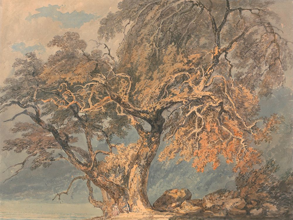 A Great Tree art print by William Turner for $57.95 CAD