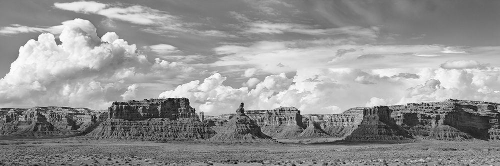 Valley Of The Gods- Utah- USA (BW) art print by Frank Krahmer for $57.95 CAD