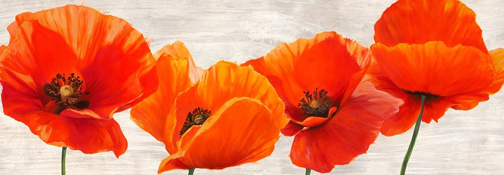 Bright Poppies art print by Jenny Thomlinson for $57.95 CAD