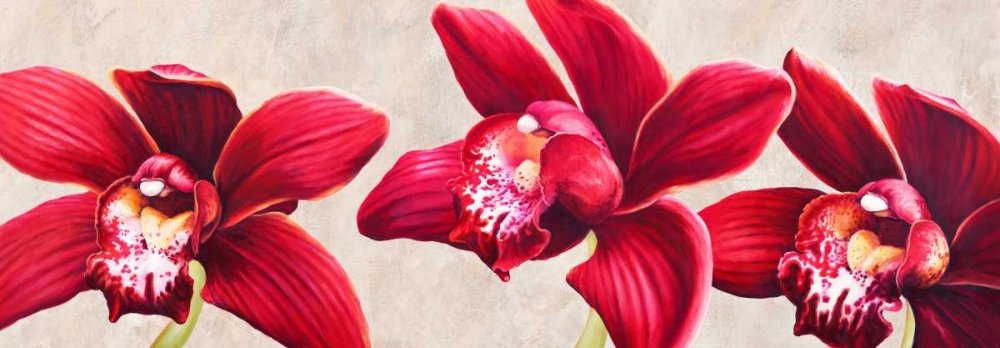 Eleganti orchidee art print by Luca Villa for $57.95 CAD