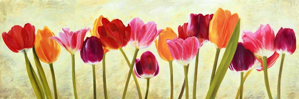 Tulip parade art print by Luca Villa for $57.95 CAD