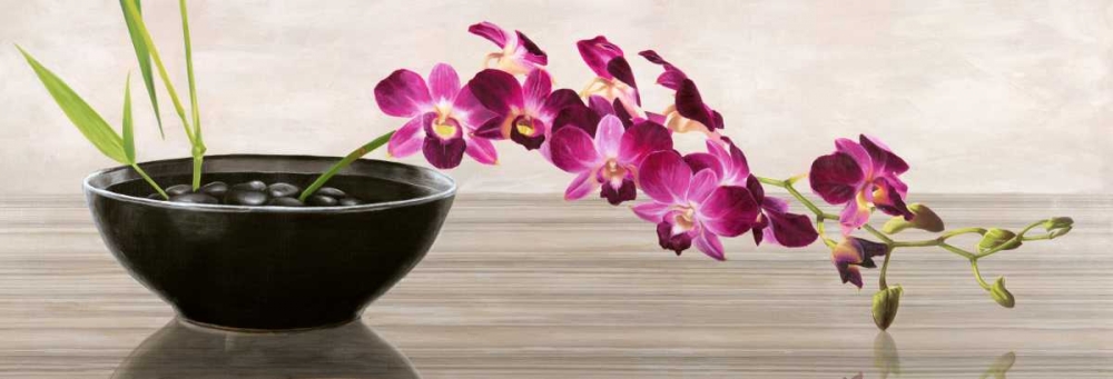 Orchid Arrangement art print by Shin Mills for $57.95 CAD