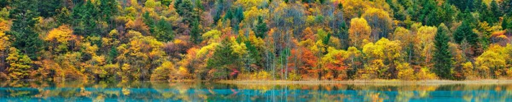 Lake and forest in autumn, China art print by Frank Krahmer for $57.95 CAD