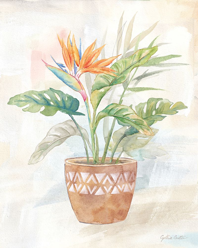Bohemia Bay XVI art print by Cynthia Coulter for $57.95 CAD