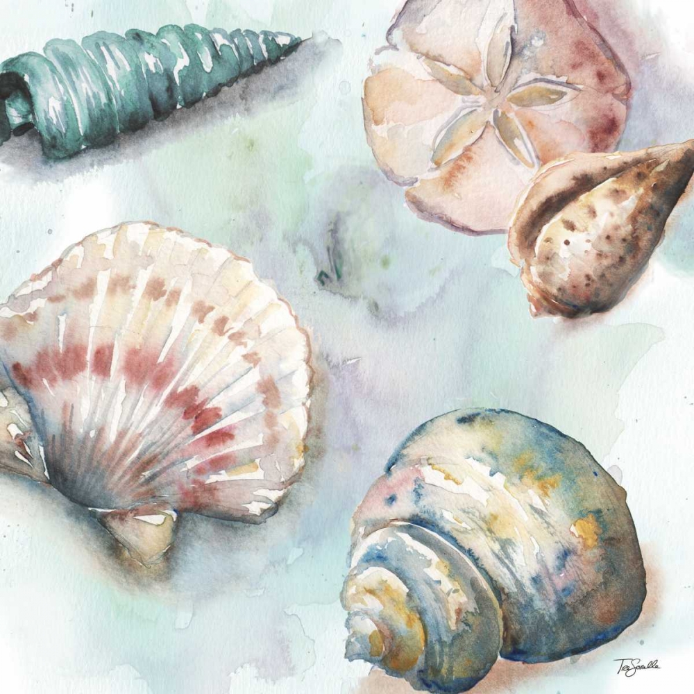 Watercolor Shell Toss I art print by Tre Sorelle Studios for $57.95 CAD