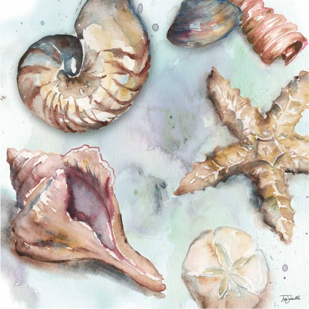 Watercolor Shell Toss II art print by Tre Sorelle Studios for $57.95 CAD