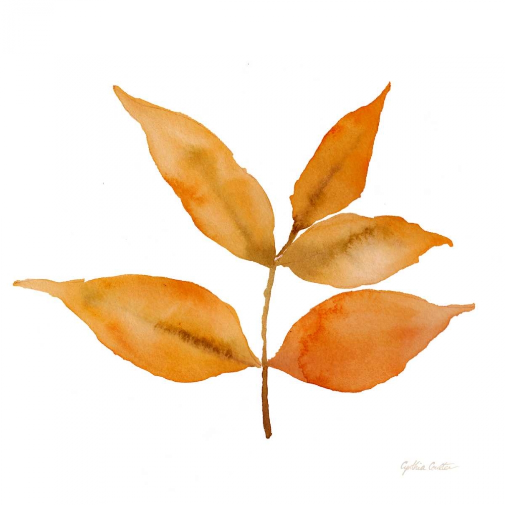 Modern Leaf Study on White I art print by Cynthia Coulter for $57.95 CAD