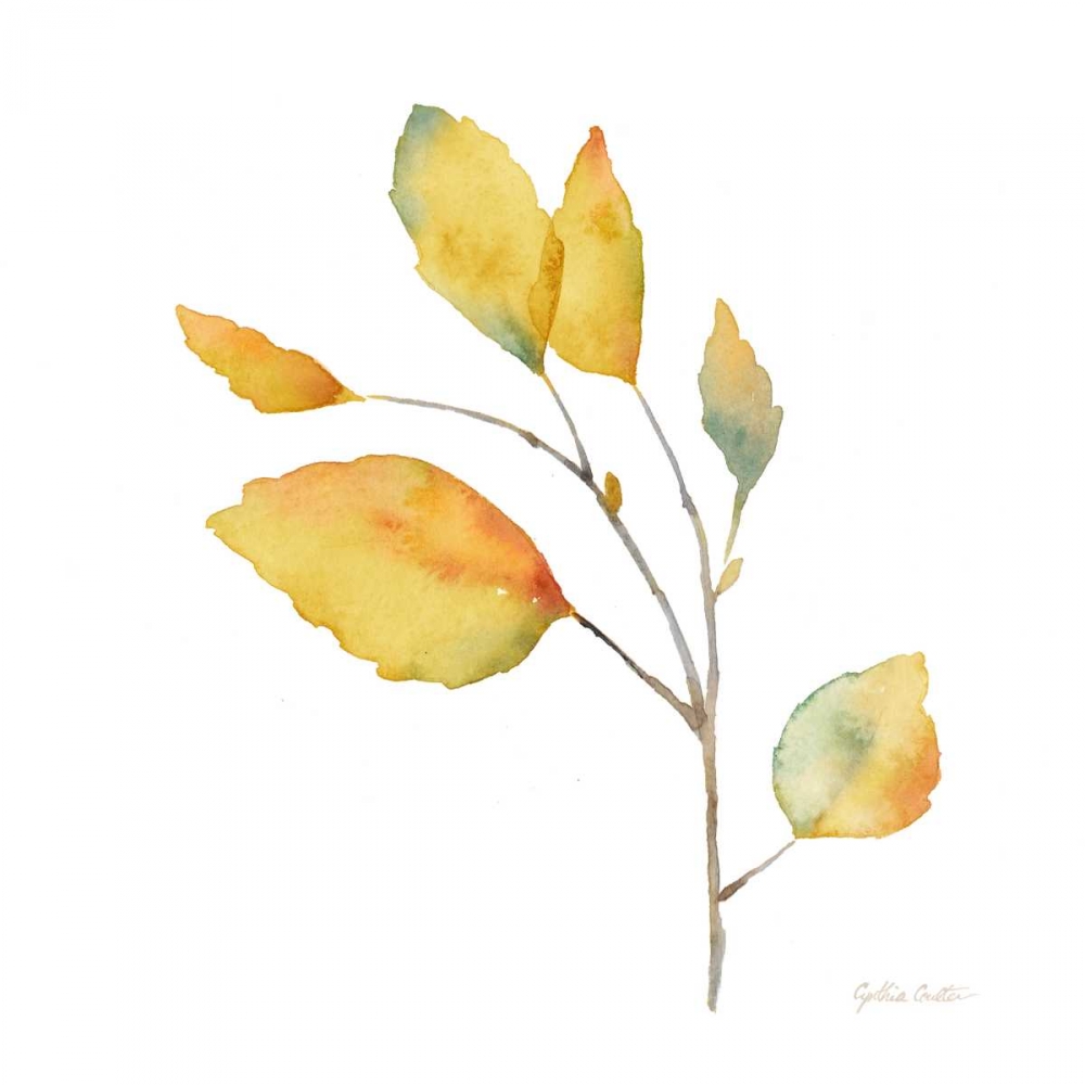 Modern Leaf Study on White II art print by Cynthia Coulter for $57.95 CAD