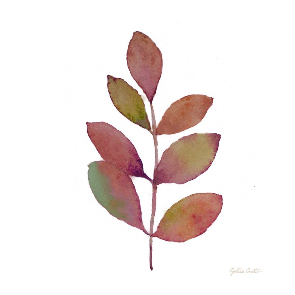 Modern Leaf Study on White III art print by Cynthia Coulter for $57.95 CAD
