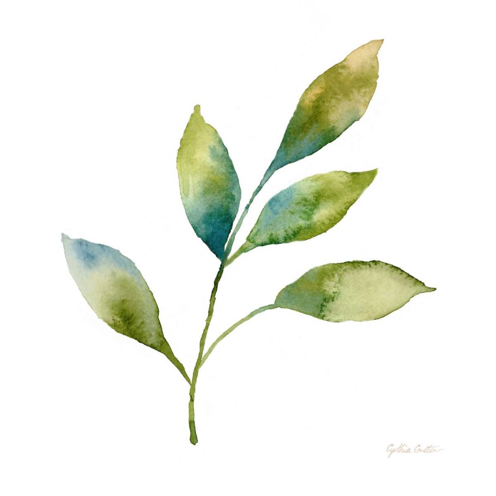 Modern Leaf Study on White IV art print by Cynthia Coulter for $57.95 CAD
