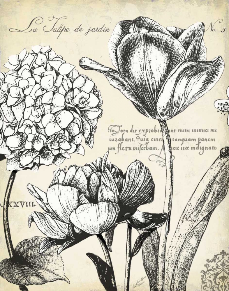 Pen and Ink Floral Study IV  art print by Marie-Elaine Cusson for $57.95 CAD