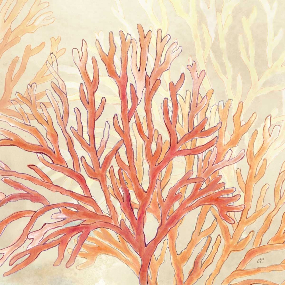 Coral Reef Cream I art print by Cynthia Coulter for $57.95 CAD