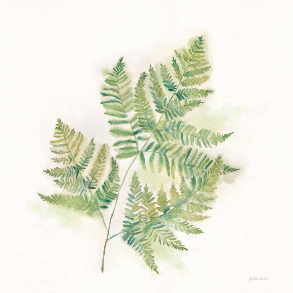 Modern Ferns I art print by Cynthia Coulter for $57.95 CAD