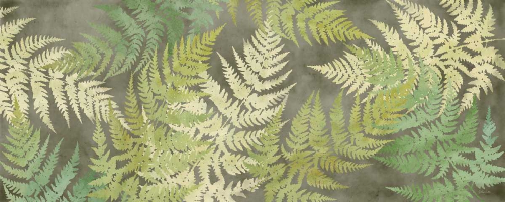 Majestic Ferns on Gray Panel art print by Cynthia Coulter for $57.95 CAD