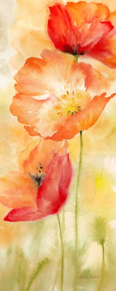 Watercolor Poppy  Meadow Spice Panel II art print by Cynthia Coulter for $57.95 CAD