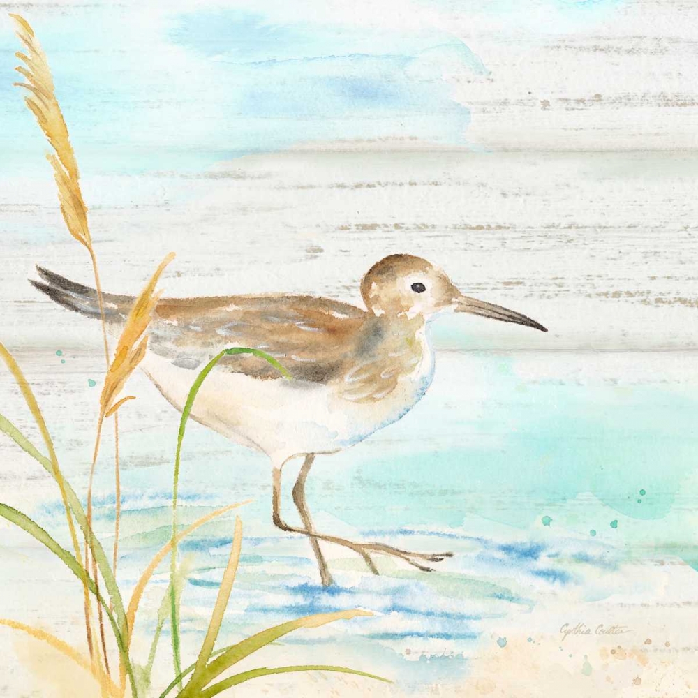 Sandpiper Beach I art print by Cynthia Coulter for $57.95 CAD
