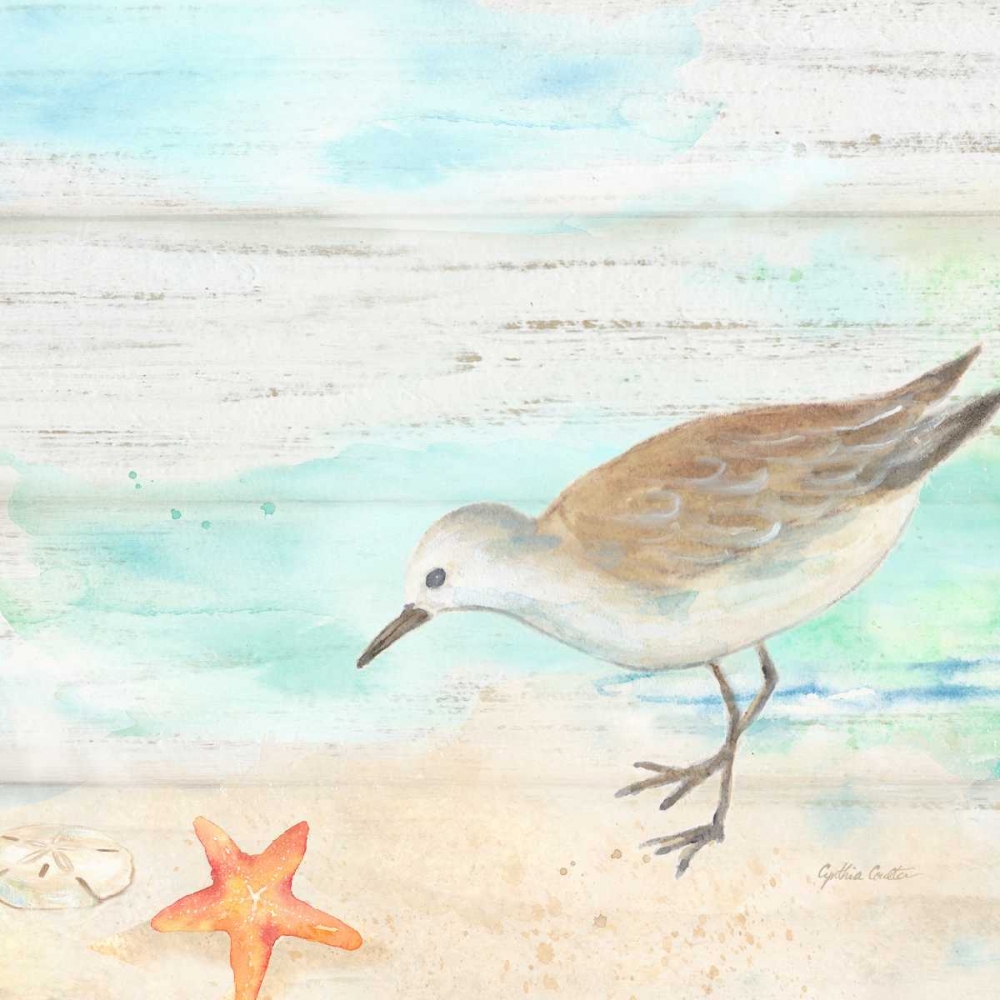 Sandpiper Beach II art print by Cynthia Coulter for $57.95 CAD