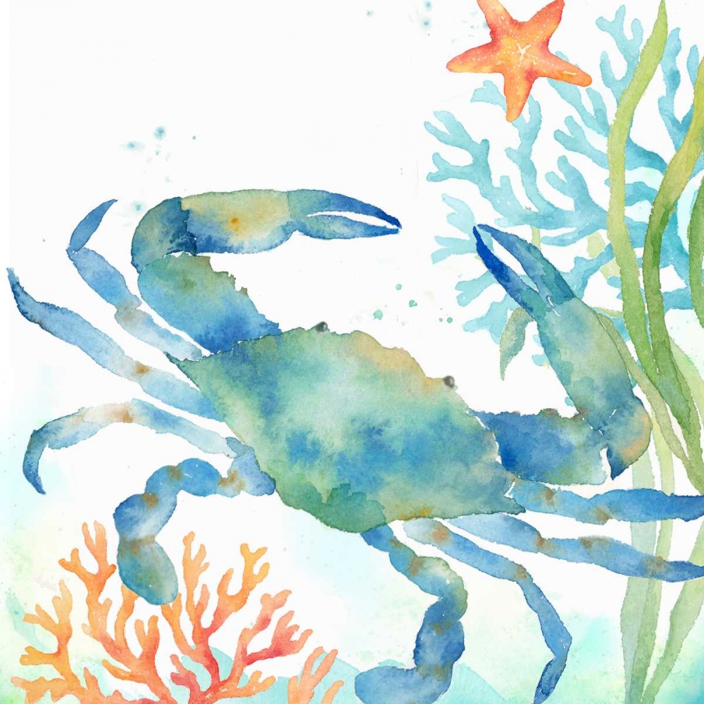 Sea Life Serenade II art print by Cynthia Coulter for $57.95 CAD