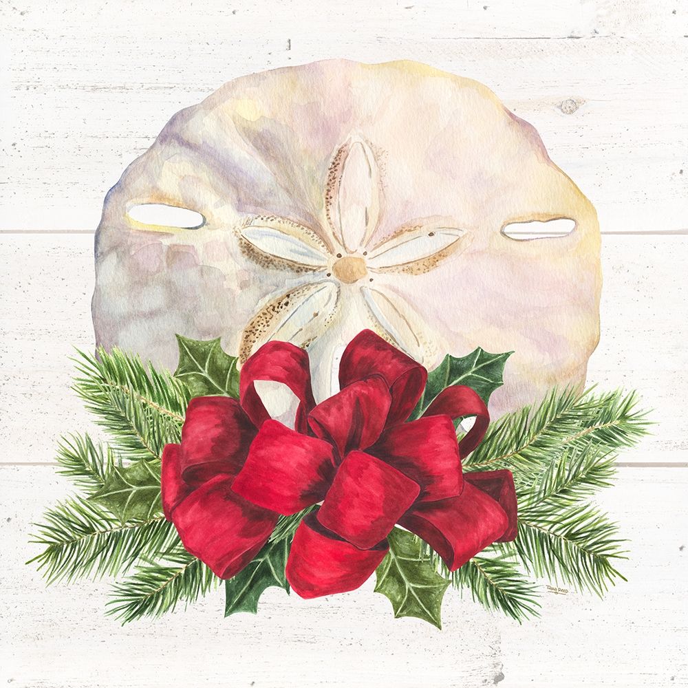 Christmas by the Sea Sanddollar square art print by Tara Reed for $57.95 CAD