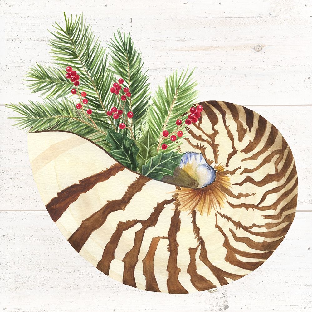 Christmas by the Sea Nautilus square art print by Tara Reed for $57.95 CAD