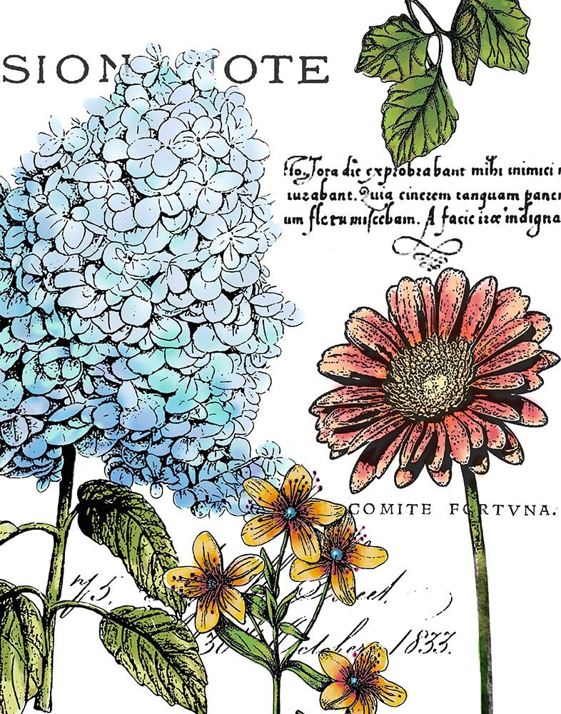 Botanical Postcard Color I art print by Marie-Elaine Cusson for $57.95 CAD