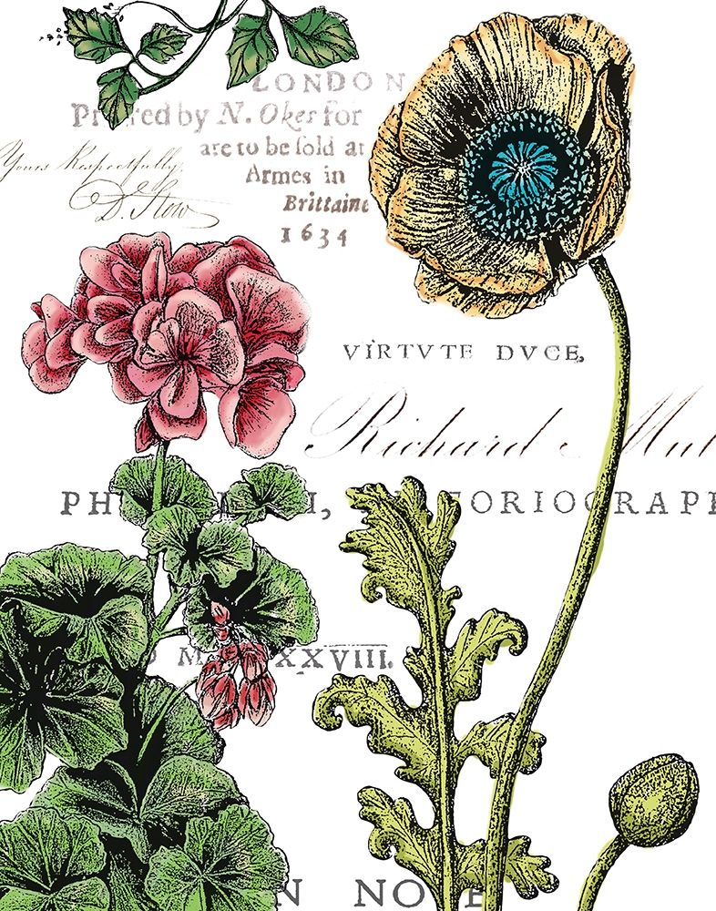 Botanical Postcard Color III art print by Marie-Elaine Cusson for $57.95 CAD