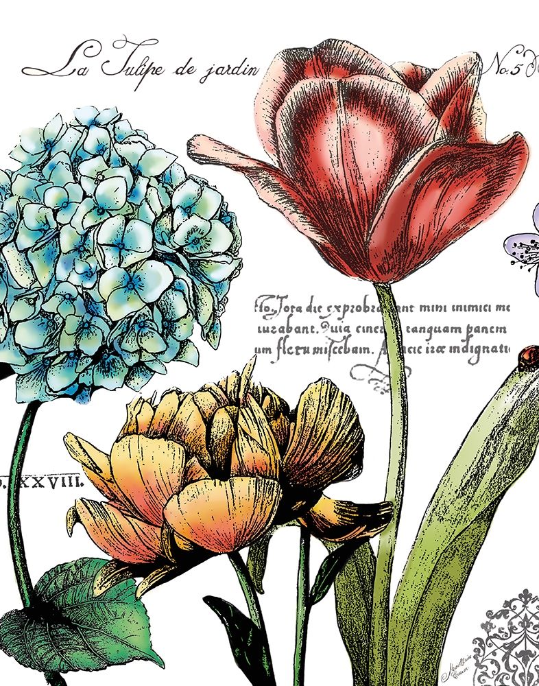 Botanical Postcard Color IV art print by Marie-Elaine Cusson for $57.95 CAD