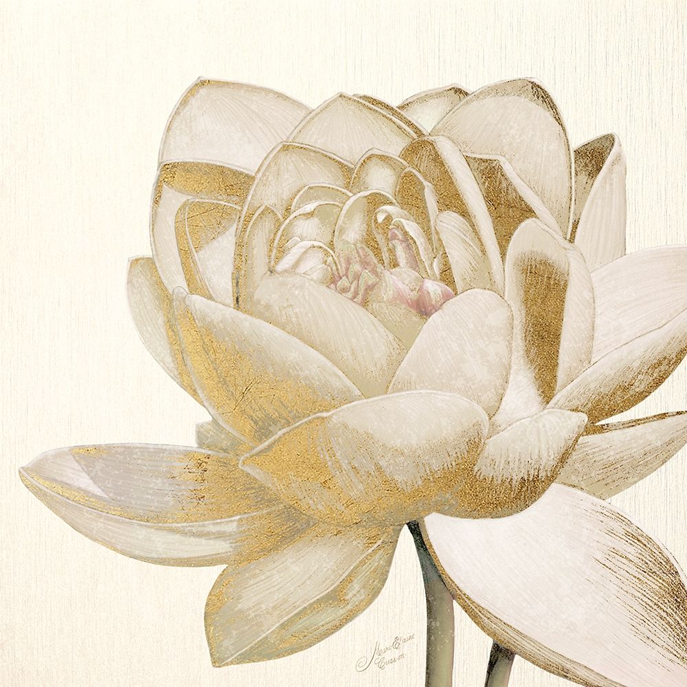 Vintage Lotus Cream II art print by Marie-Elaine Cusson for $57.95 CAD