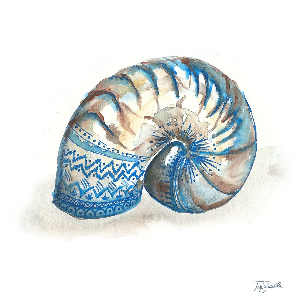 Bohemian Shells IV art print by Tre Sorelle Studios for $57.95 CAD