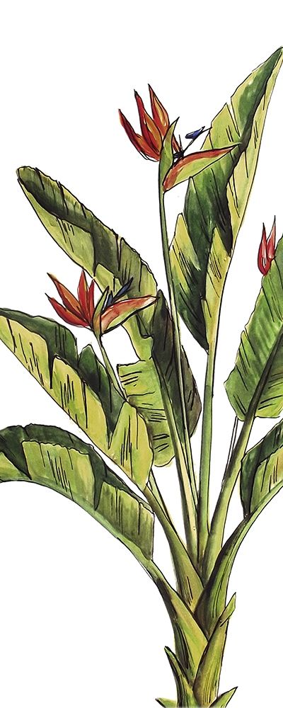 Tropical Palm Paradise I art print by Tre Sorelle Studios for $57.95 CAD