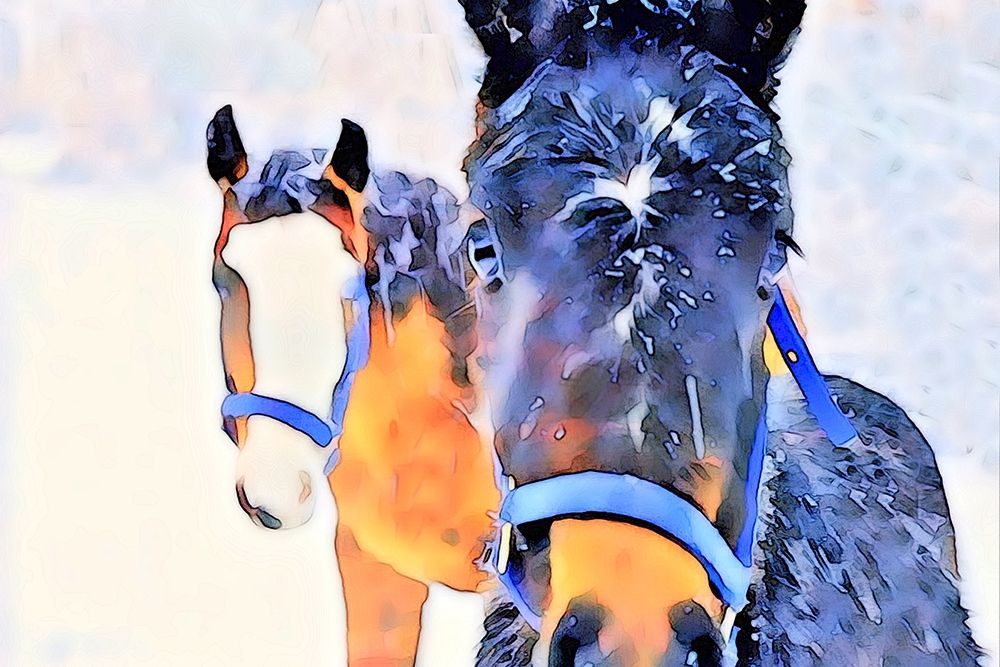 Snow Horses art print by Lu Anne Tyrrell for $57.95 CAD