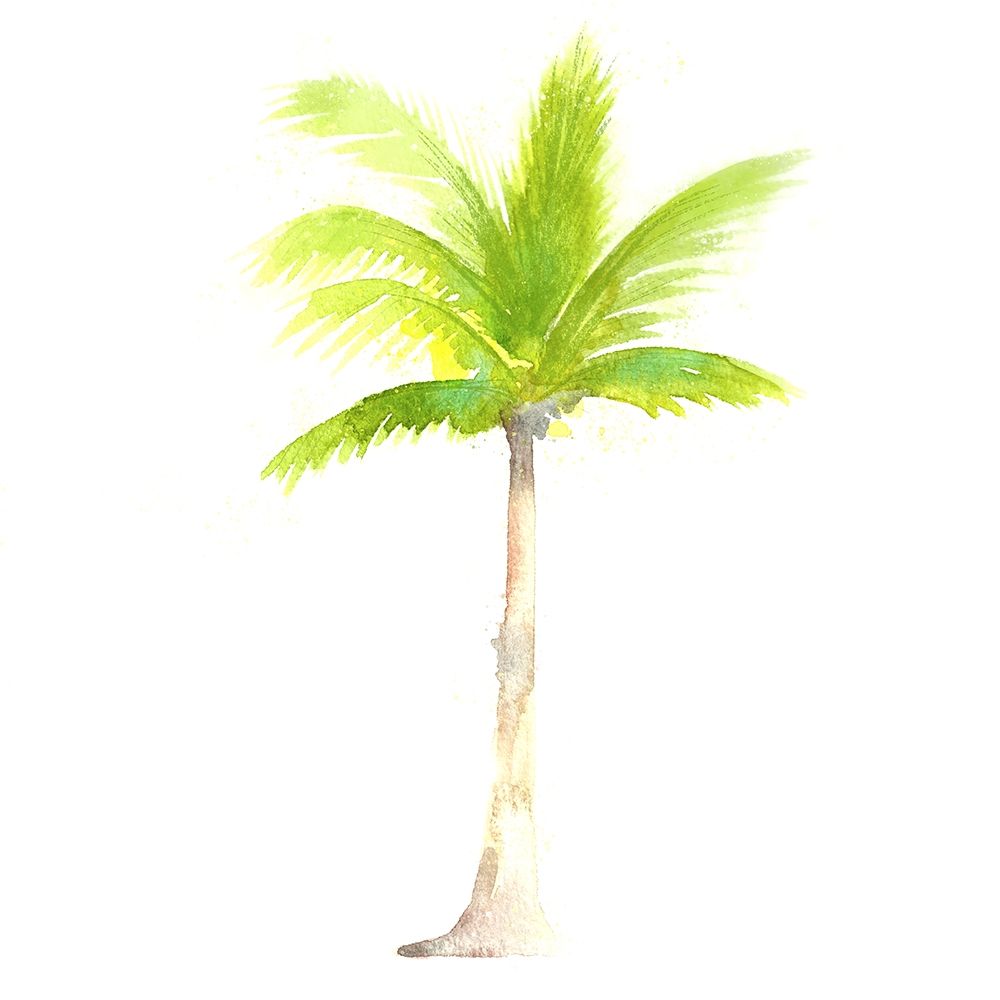 Tropical Icons Palm Tree art print by Northern Lights for $57.95 CAD