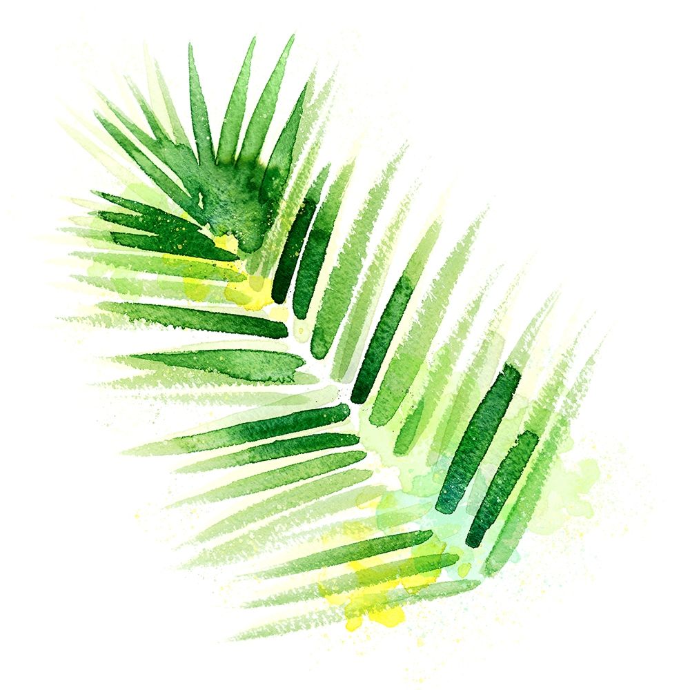 Tropical Icons Palm Frond art print by Northern Lights for $57.95 CAD