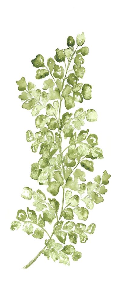 Botanical Fern Single IV art print by Tre Sorelle Studios for $57.95 CAD