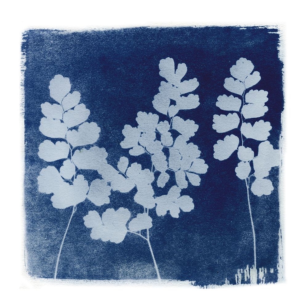 Flora Cyanotype II art print by Nancy Green Design for $57.95 CAD