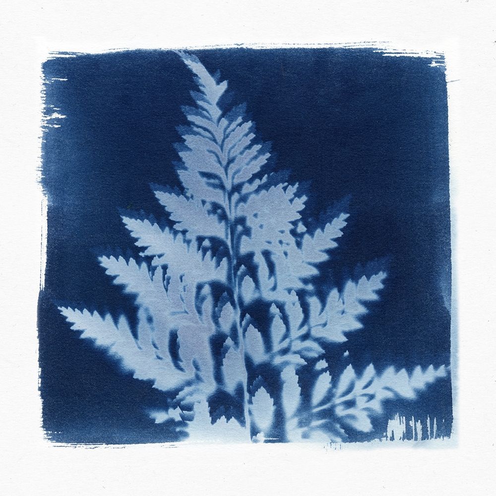 Flora Cyanotype III art print by Nancy Green Design for $57.95 CAD